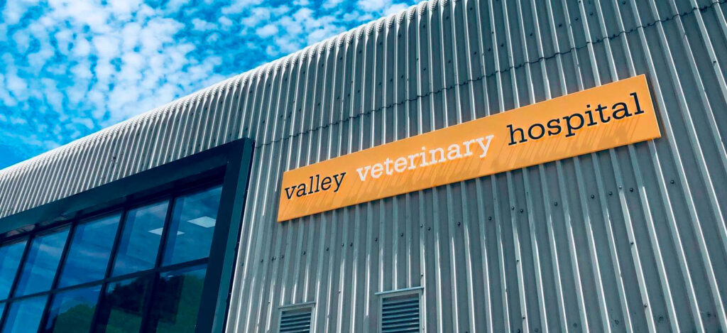 valley veterinary hospital - Cardiff Veterinary Centre